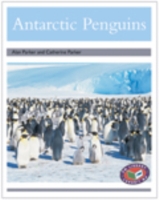 PM Silver Animal Facts Polar Animals Antarctic Penguins (X6)
