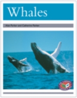 PM Silver Animal Facts Polar Animals Whales (X6)