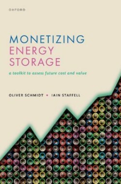 Monetizing Energy Storage