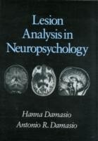 Lesion Analysis in Neuropsychology