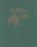 Trees of Sonora, Mexico