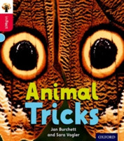 Oxford Reading Tree inFact: Oxford Level 4: Animal Tricks