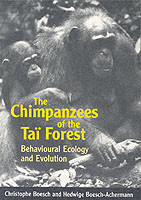 Chimpanzees of the Tai Forest