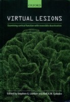 Virtual Lesions