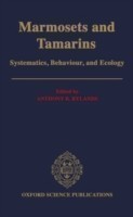 Marmosets and Tamarins