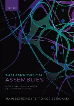 Thalamocortical Assemblies
