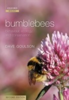 Bumblebees