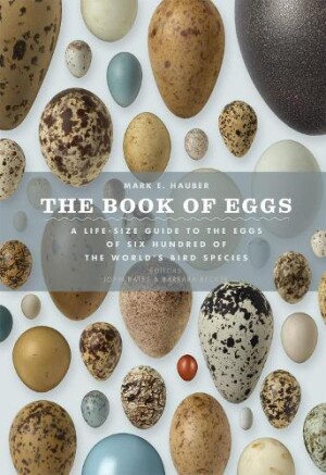 Book of Eggs