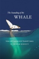 Sounding of the Whale