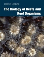 Biology of Reefs and Reef Organisms