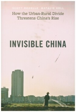 Invisible China