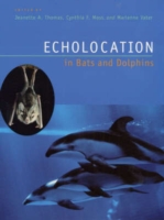 Echolocation in Bats and Dolphins