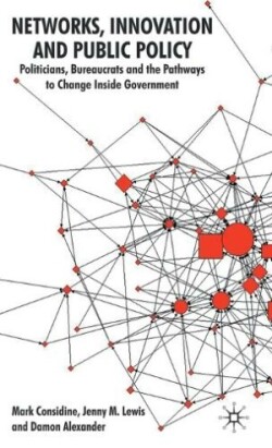 Networks, Innovation and Public Policy