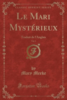 Mari Mysterieux, Vol. 1