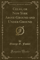 Celio, or New York Above-Ground and Under-Ground (Classic Reprint)