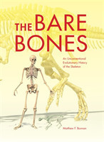 Bare Bones