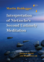 Interpretation of Nietzsche's Second Untimely Meditation