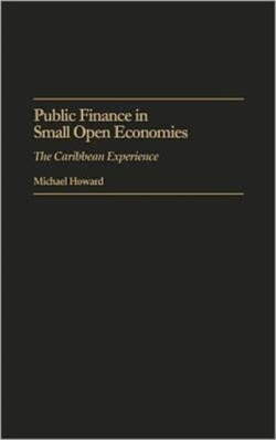 Public Finance in Small Open Economies