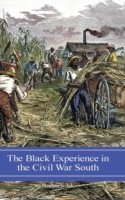 Black Experience in the Civil War South