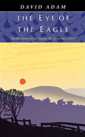 Eye of the Eagle