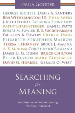 Searching for Meaning