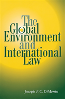 Global Environment and International Law