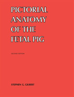 Pictorial Anatomy of the Fetal Pig