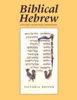 Biblical Hebrew, Second Ed. (Supplement for Advanced Comprehension)