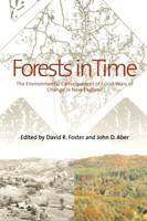 Forests in Time