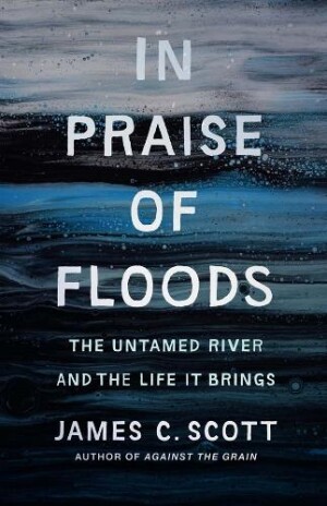 In Praise of Floods