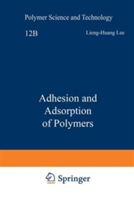 Adhesion and Adsorption of Polymers