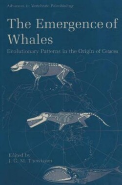 Emergence of Whales