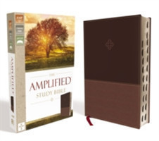 Amplified Study Bible, Leathersoft, Brown, Thumb Indexed