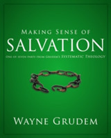 Making Sense of Salvation