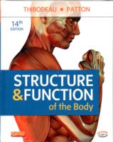 Structure & Function of the Body