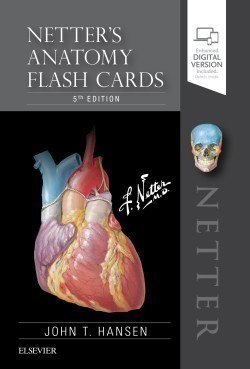 Netter's Anatomy Flash Cards (5th edition) 