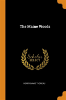 Maine Woods