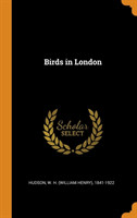 Birds in London