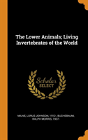 Lower Animals; Living Invertebrates of the World