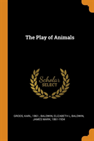 Play of Animals