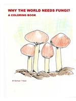 Why the World Needs Fungi? A Coloring Book