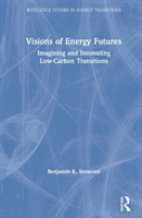 Visions of Energy Futures