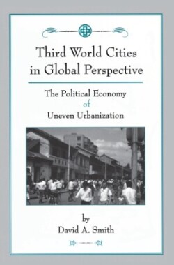 Third World Cities In Global Perspective