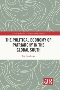 Political Economy of Patriarchy in the Global South