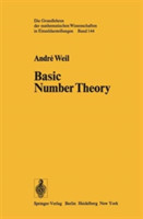 Basic Number Theory