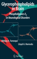 Glycerophospholipids in the Brain