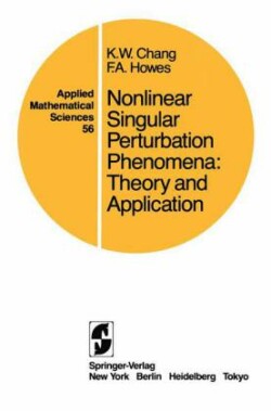 Nonlinear Singular Perturbation Phenomena