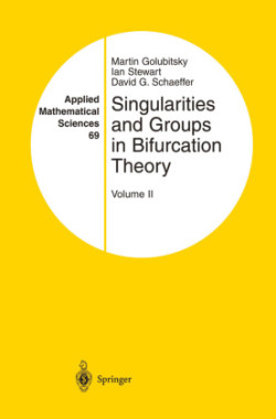 Singularities and Groups in Bifurcation Theory