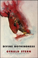 Divine Nothingness