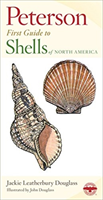 First Guide to Shells